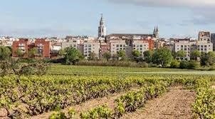 Vilafranca del Penedes, Catalonia, Spain 2 - 15099386