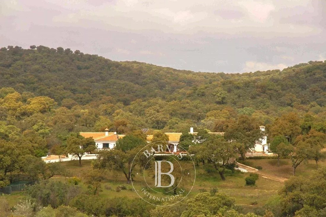 Casa en Villanueva del Río y Minas, Andalucía, España 2 - 15098727