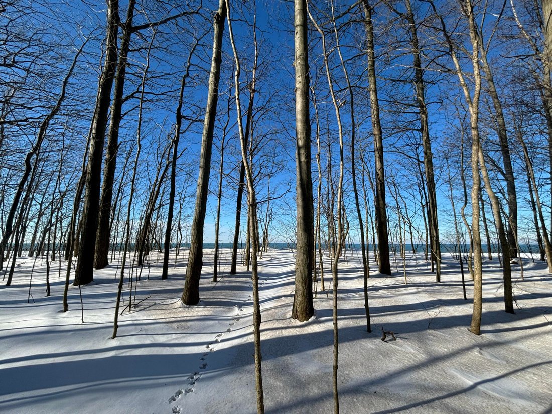 Land in Fennville, Michigan, Vereinigte Staaten 1 - 15100279