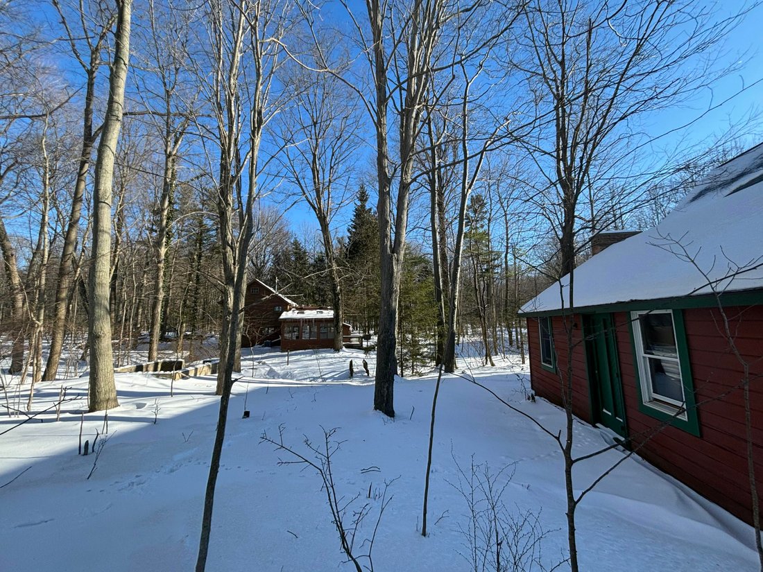 Haus in Fennville, Michigan, Vereinigte Staaten 4 - 15100283