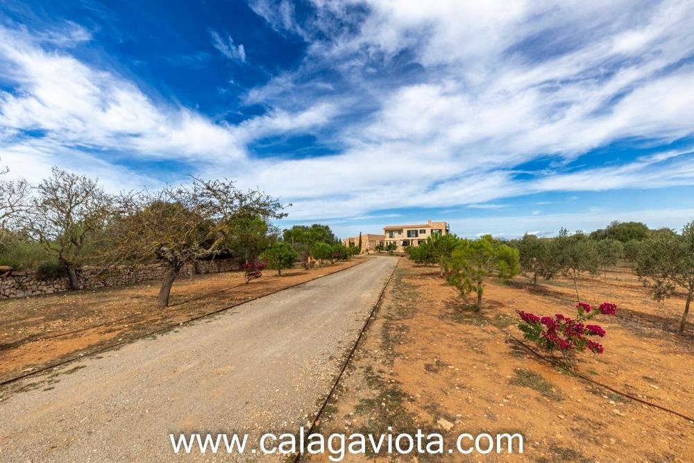 Villa in ses Salines, Balearic Islands, Spain 5 - 15100443