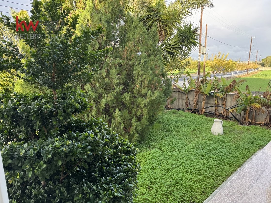 Villa in Mazotos, Larnaca, Cyprus 5 - 15097216