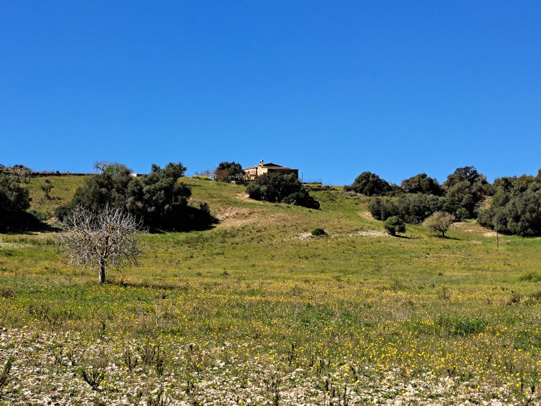 Finca in Manacor, Balearic Islands, Spain 2 - 15111397