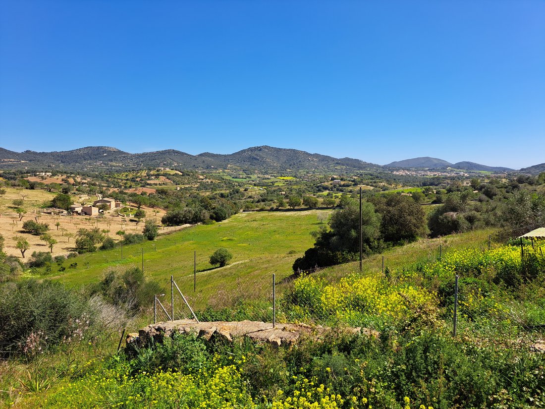 Finca in Manacor, Balearic Islands, Spain 4 - 15111397