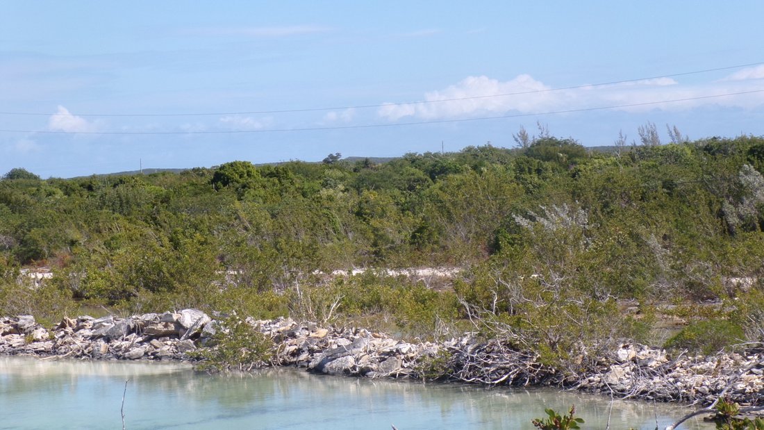 Land in Long Island, Bahamas 3 - 15099713