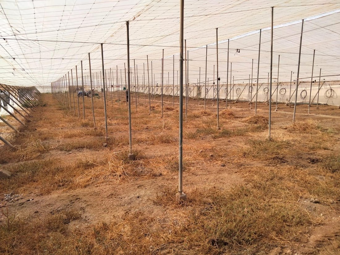 Land in Águilas, Murcia, Spanien 4 - 15101094