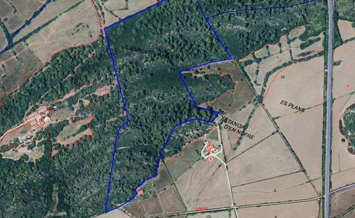 Land in Alaior, Balearische Inseln, Spanien 1
