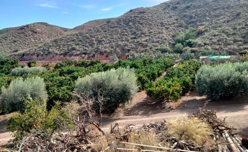 Land in Águilas, Murcia, Spanien 1
