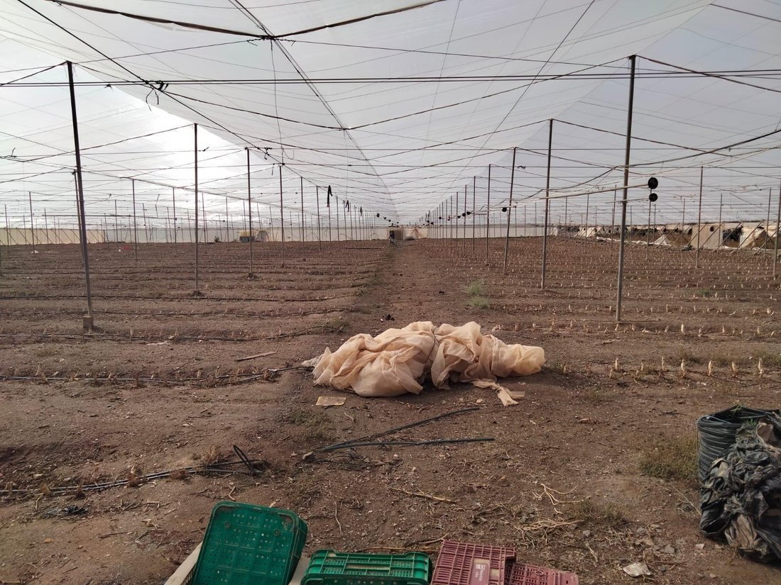 Land in Águilas, Murcia, Spanien 5 - 15101094