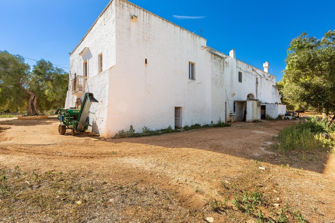 Country House in Ludovico Street - Corso Umberto I - Vittorio Emanuele Street, Ostuni, Apulia 3 - 15112902
