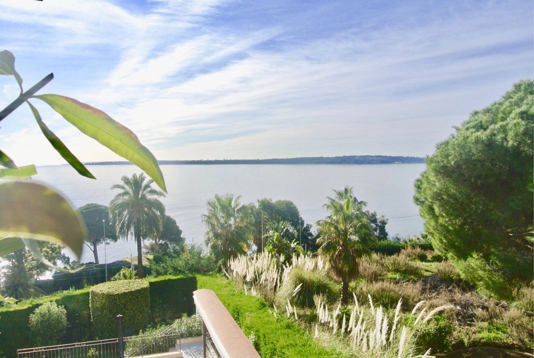Apartment in Cannes, Provence-Alpes-Côte d'Azur, France 2 - 12161896