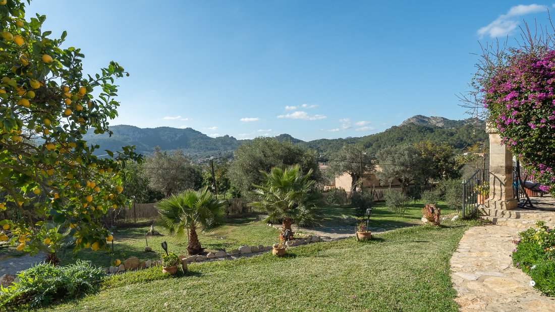 Finca in s'Arraco, Andratx, Balearic Islands 4 - 15113717
