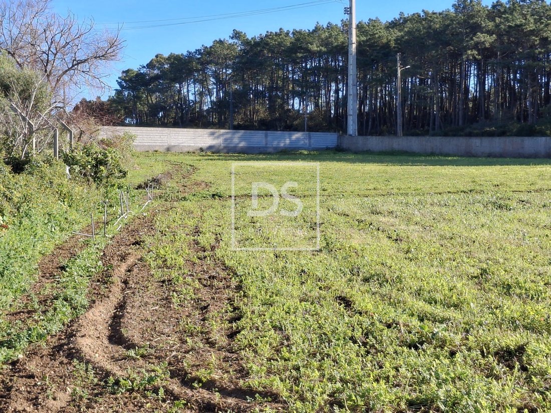 Land in Ericeira, Lisbon, Portugal 5 - 15114002