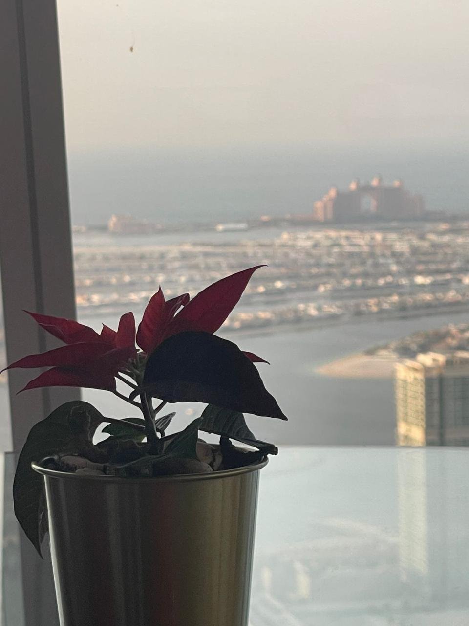 Apartment in Dubai Marina / Marsa Dubai, Dubai, United Arab Emirates 3 - 15115184