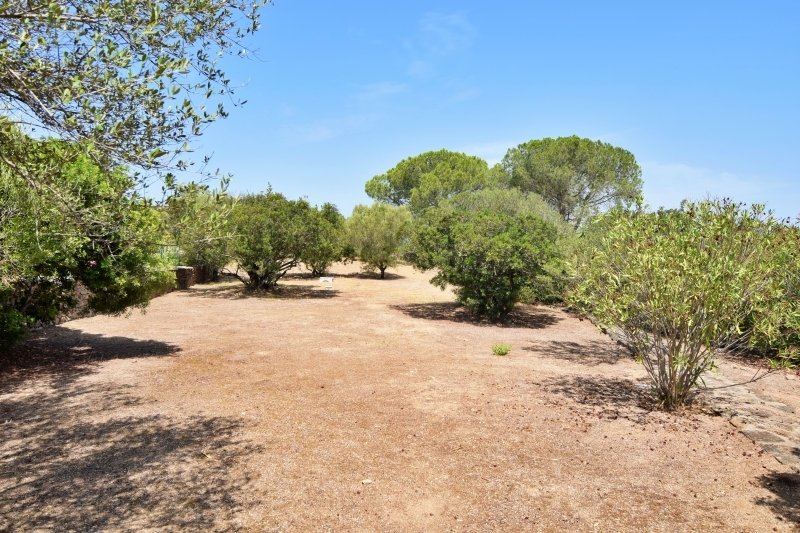 Villa in Murta Maria - Le Vecchie Saline - Porto Istana, Olbia, Sardinia 5 - 15115051