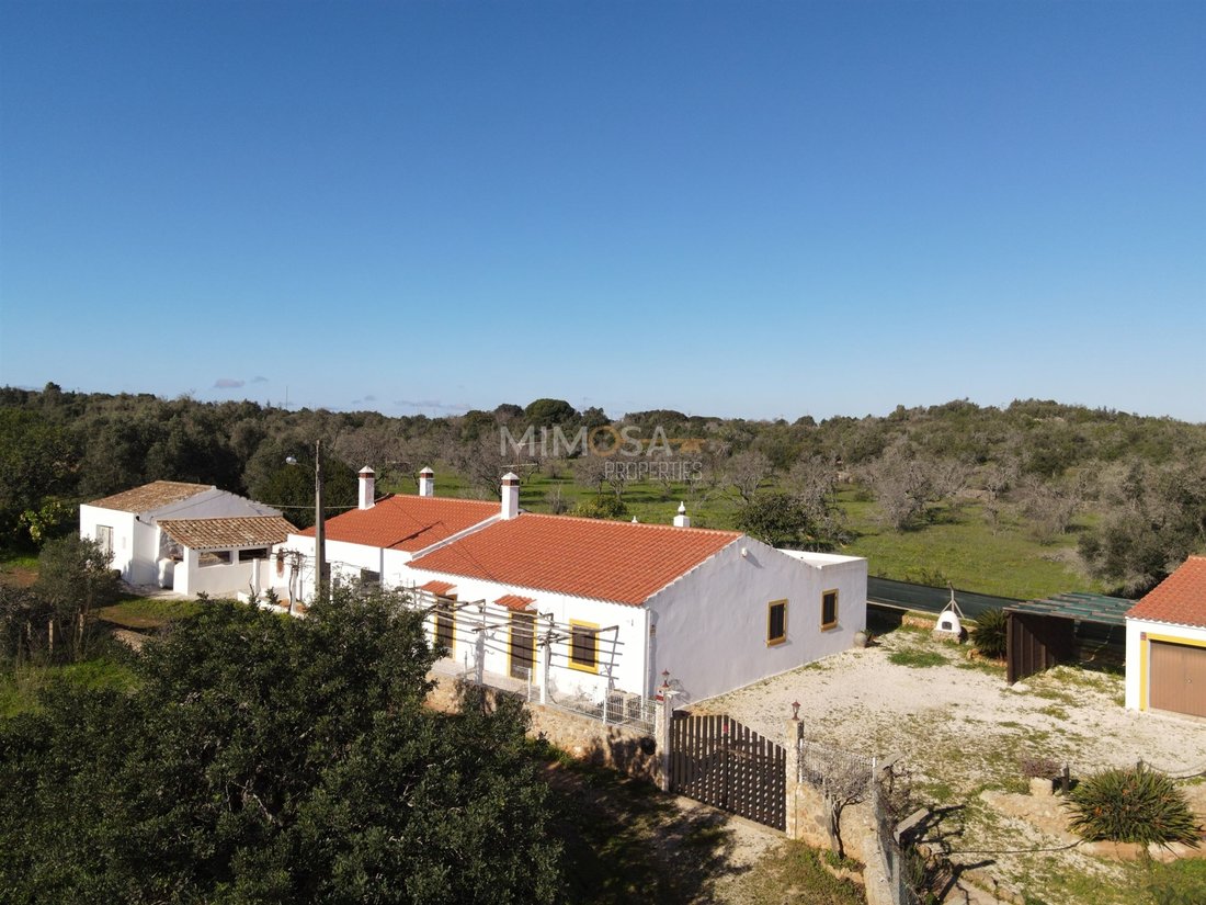 Farm Ranch in Bensafrim e Barao de Sao Joao, Algarve, Portugal 2 - 15115008