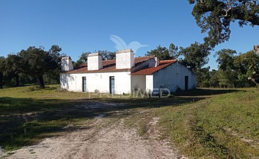 Rancho en Corroios, Setúbal Municipality, Portugal 1