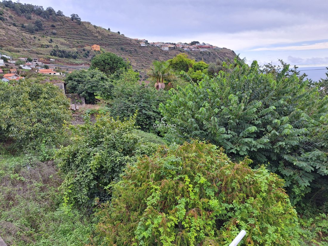 Land in Arco da Calheta, Autonome Region Madeira, Portugal 2 - 12880342