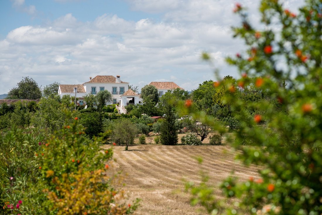 Farm Ranch in Conceicao e Cabanas de Tavira, Algarve, Portugal 2 - 14951057