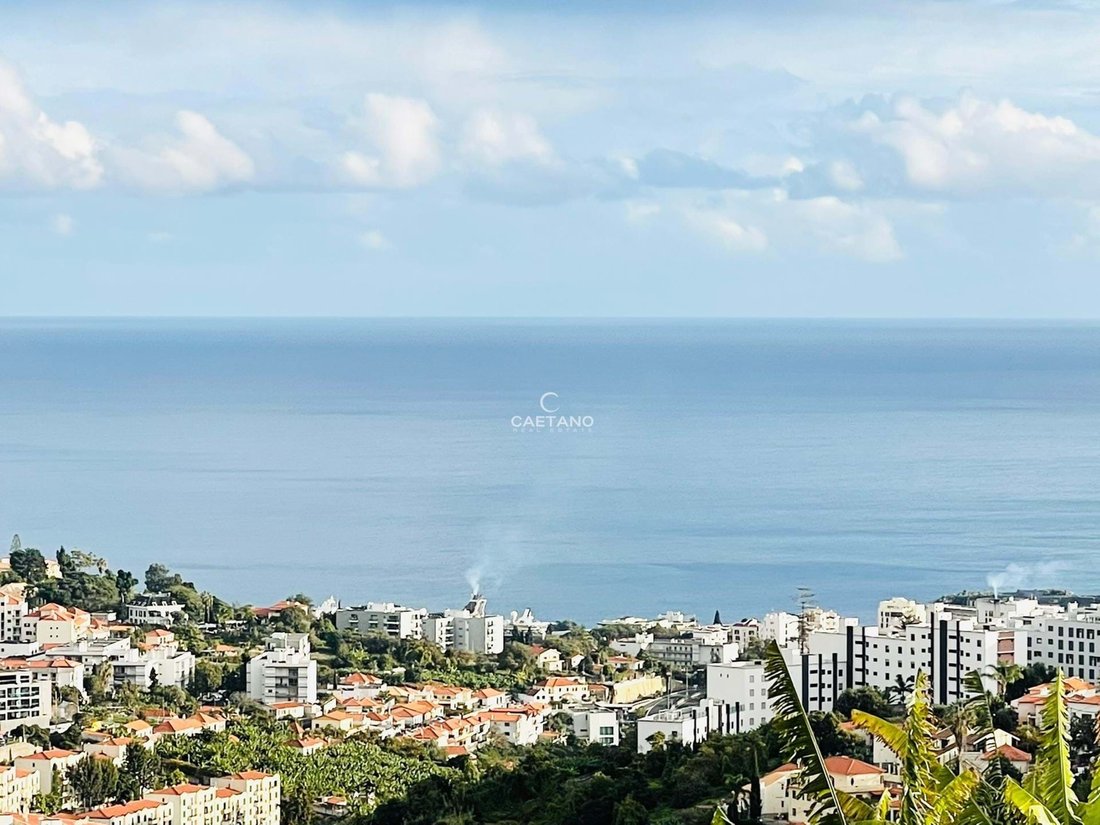 Farm Ranch in Funchal, Madeira, Portugal 1 - 14240038