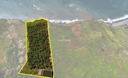Land in Ribeira Brava, Autonome Region Madeira, Portugal 1