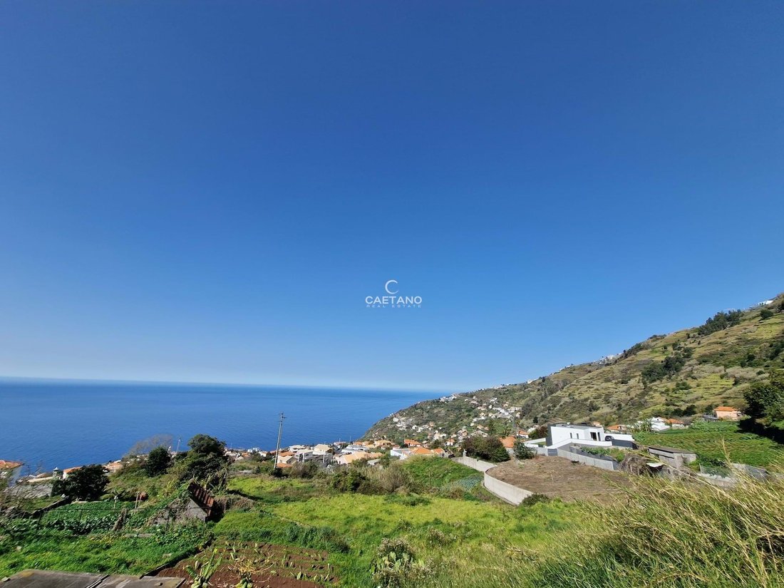 Villa in Calheta, Autonome Region Madeira, Portugal 3 - 13475683