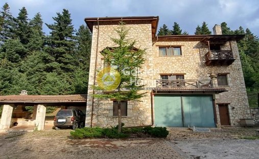 Estate in Koinotita Eptalophou, Parnassos, Greece 1