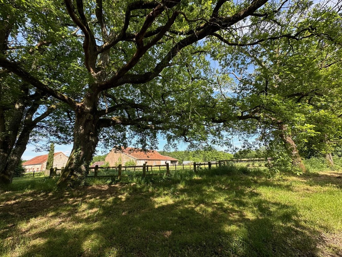 Estate in Villemurlin, Centre-Val de Loire, France 2 - 15118642