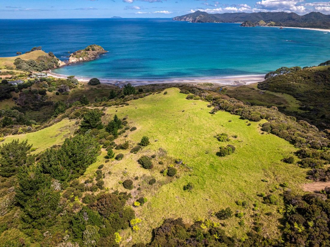 House in Great Barrier Island / Aotea, Auckland, New Zealand 5 - 15118583