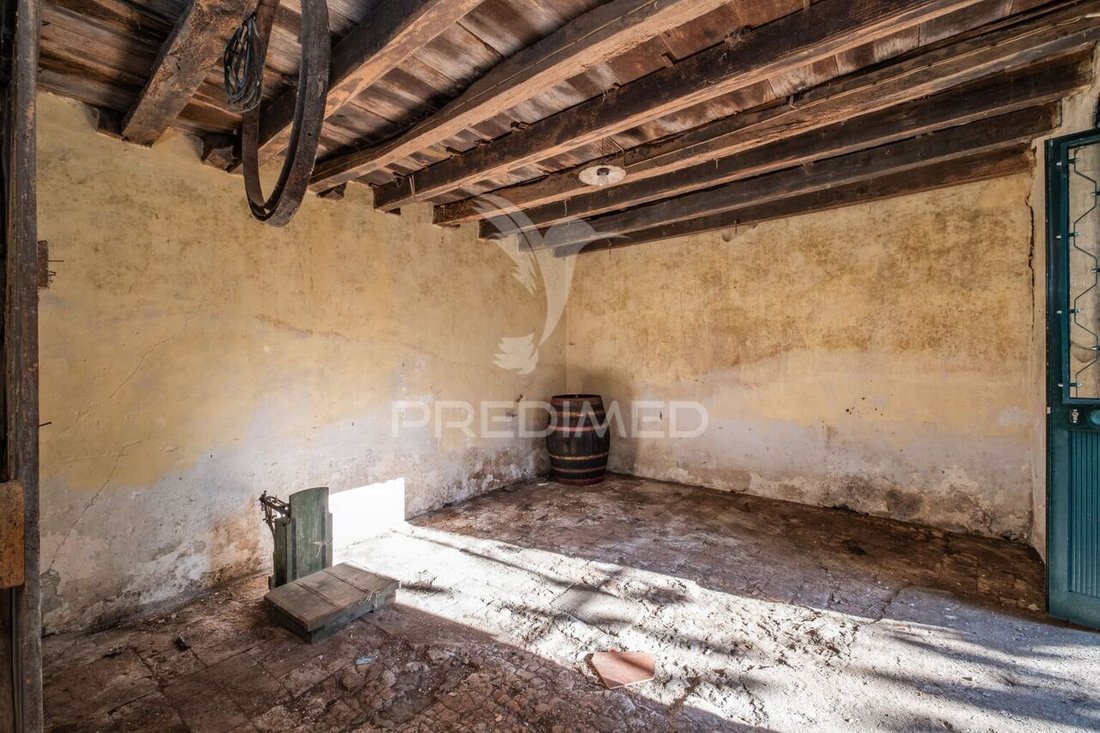 Haus in Gaula, Autonome Region Madeira, Portugal 5 - 15115072