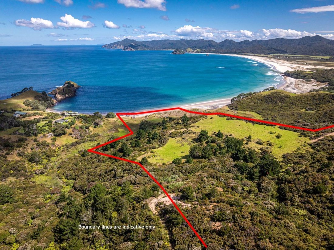 House in Great Barrier Island / Aotea, Auckland, New Zealand 1 - 15118583