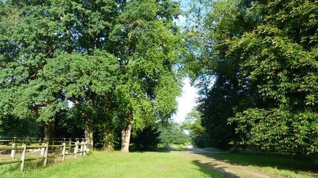 Estate in Villemurlin, Centre-Val de Loire, France 4 - 15118642