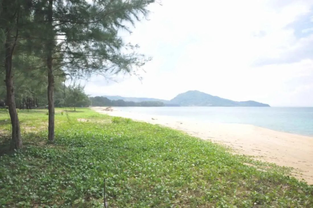 Villa in Mai Khao, Phuket, Thailand 5 - 15119775