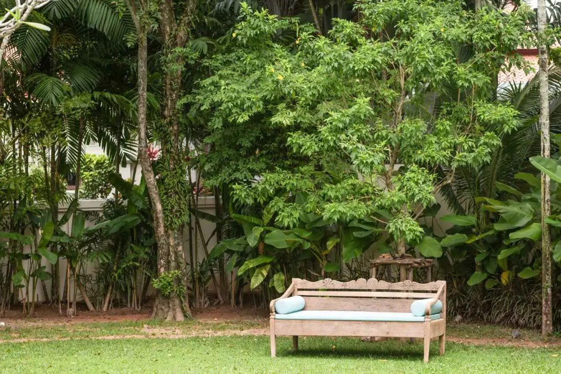 Villa in Choeng Thale, Phuket, Thailand 2 - 15119826