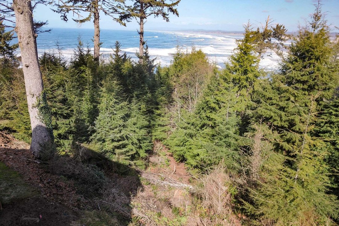 Land in Gearhart, Oregon, United States 3 - 13833805