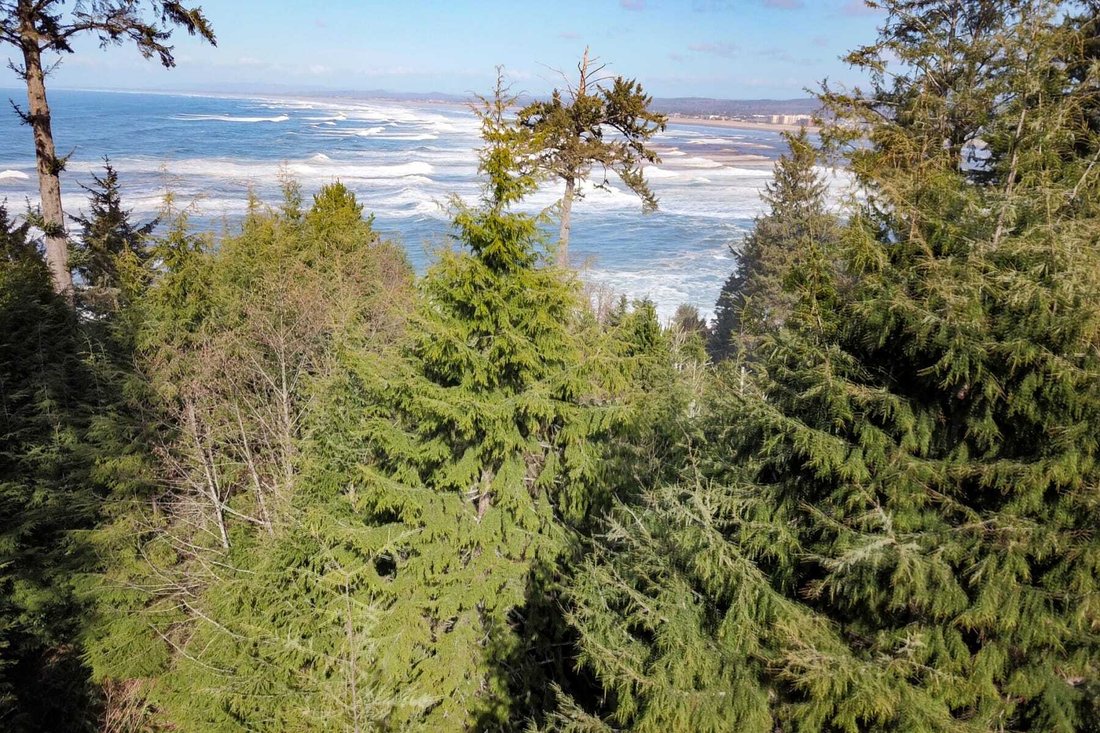 Land in Gearhart, Oregon, United States 2 - 13833805