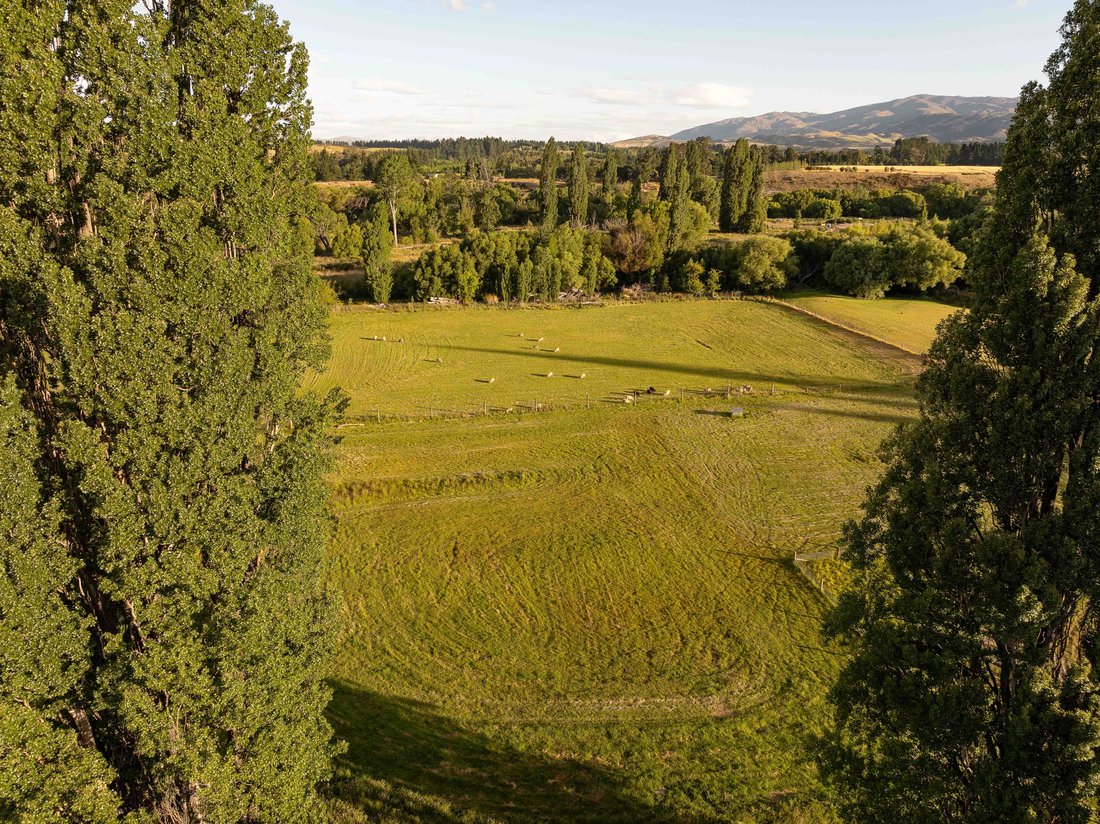 Farm Ranch in Albert Town, Otago, New Zealand 4 - 15121055