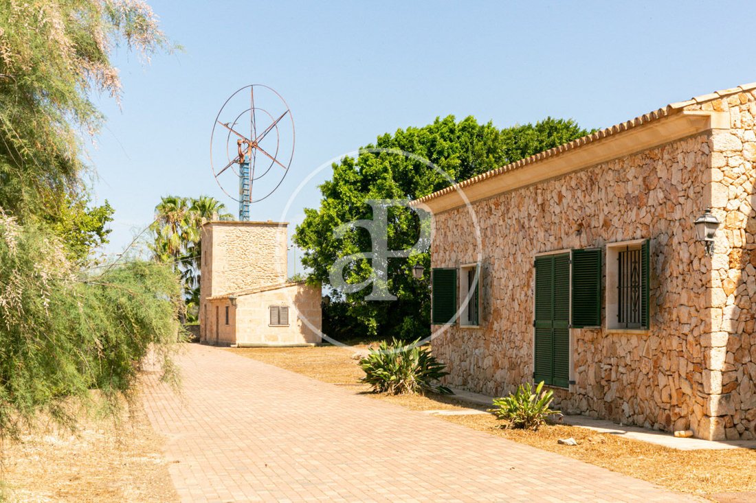 Villa in Palma, Balearic Islands, Spain 4 - 15122251
