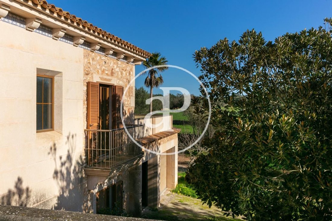 Villa in Felanitx, Balearic Islands, Spain 5 - 15122060