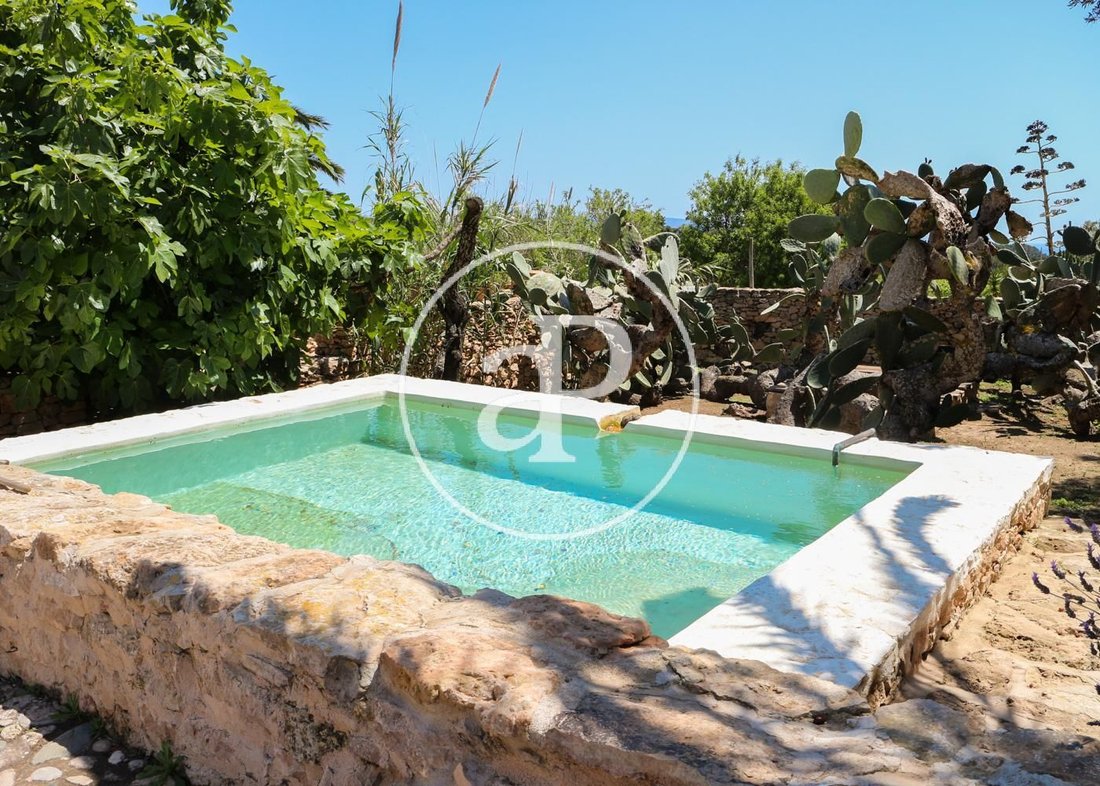 Villa in Formentera, Balearic Islands, Spain 2 - 15122090