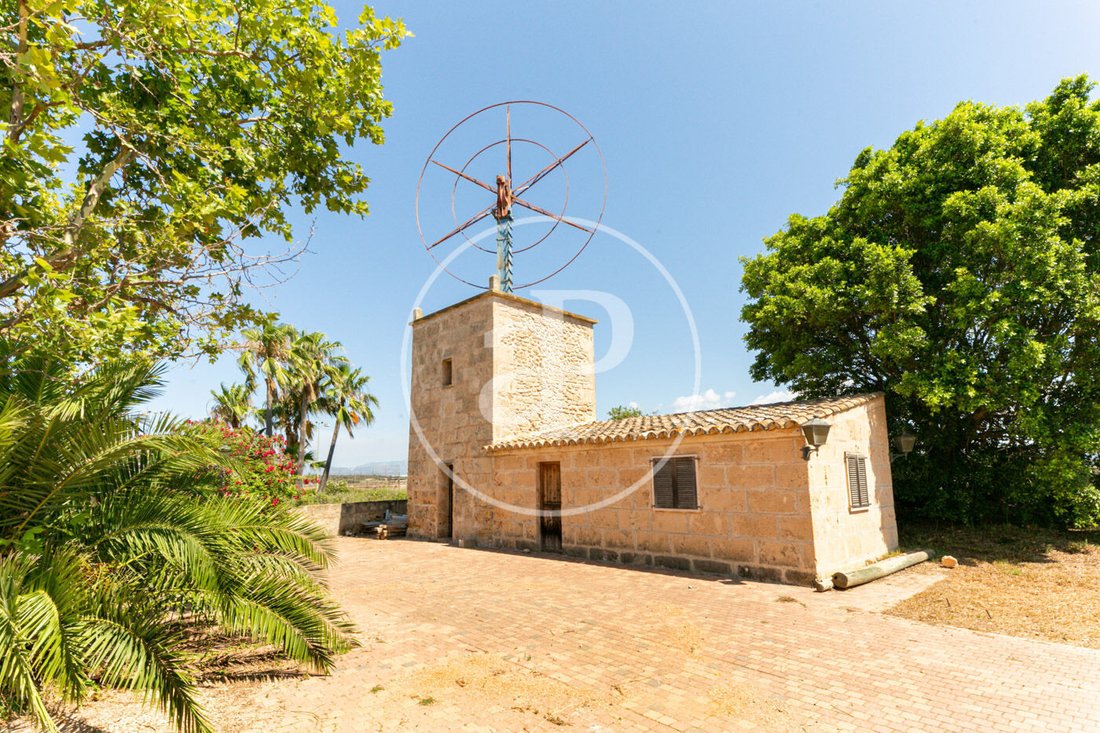 Villa in Palma, Balearic Islands, Spain 5 - 15122251