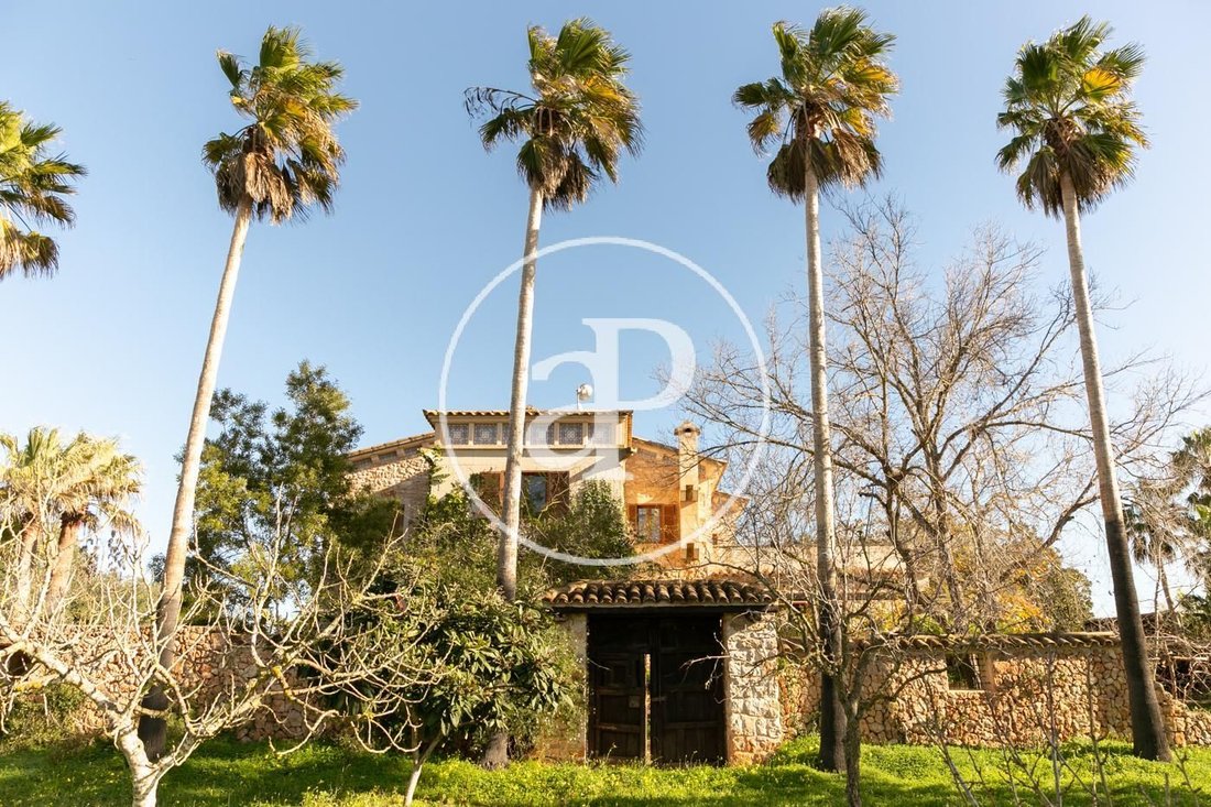 Villa in Felanitx, Balearic Islands, Spain 4 - 15122060