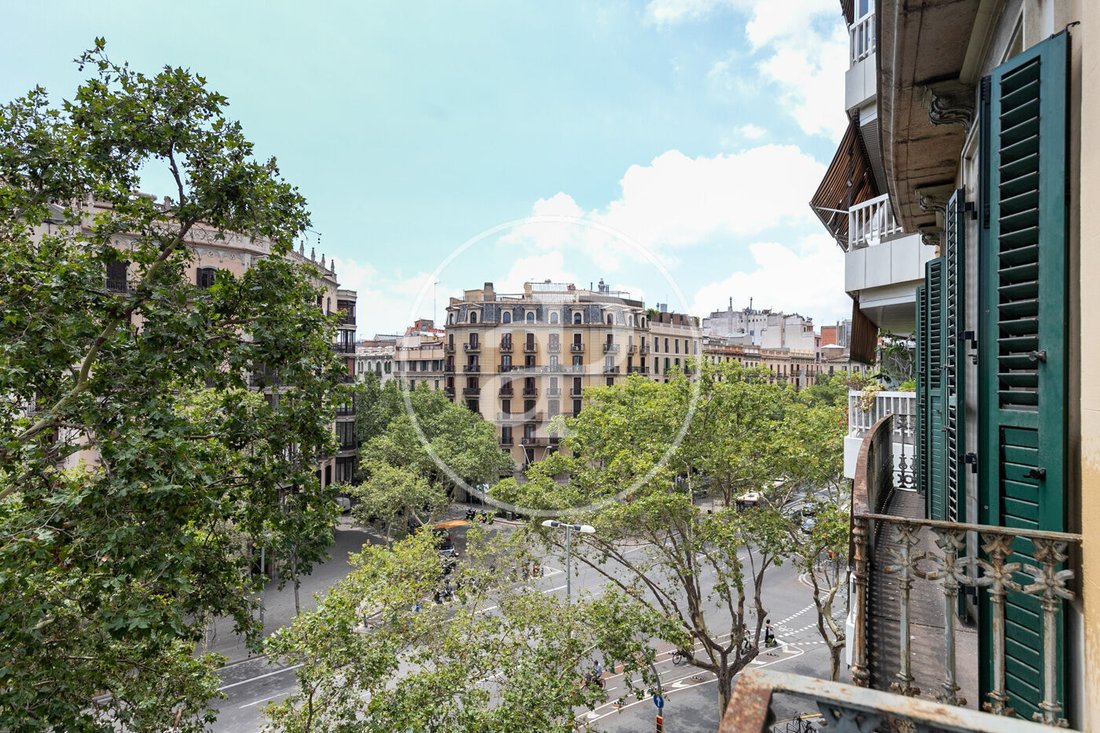 Apartment in Eixample, Barcelona, Spain 4 - 15122243