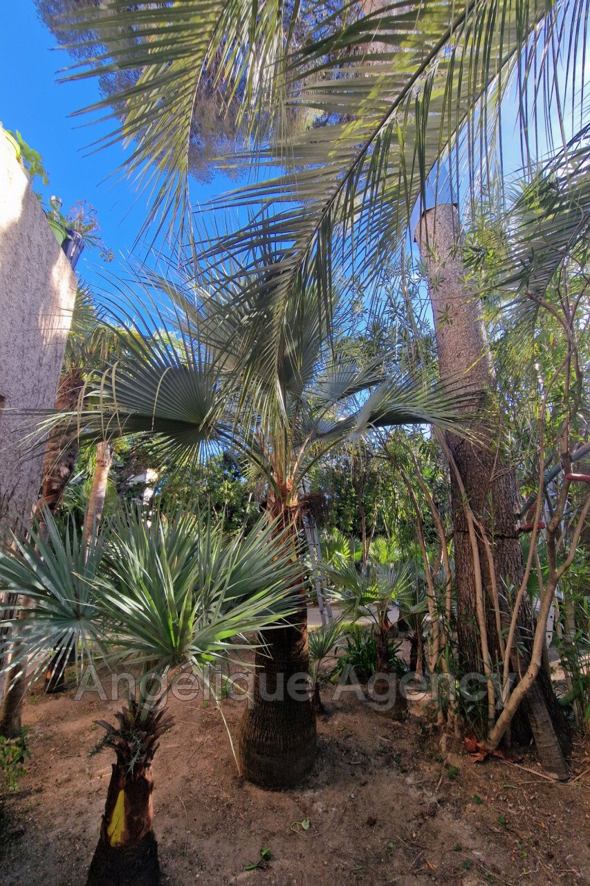Villa in Frejus, Provence-Alpes-Côte d'Azur, France 5 - 15121280