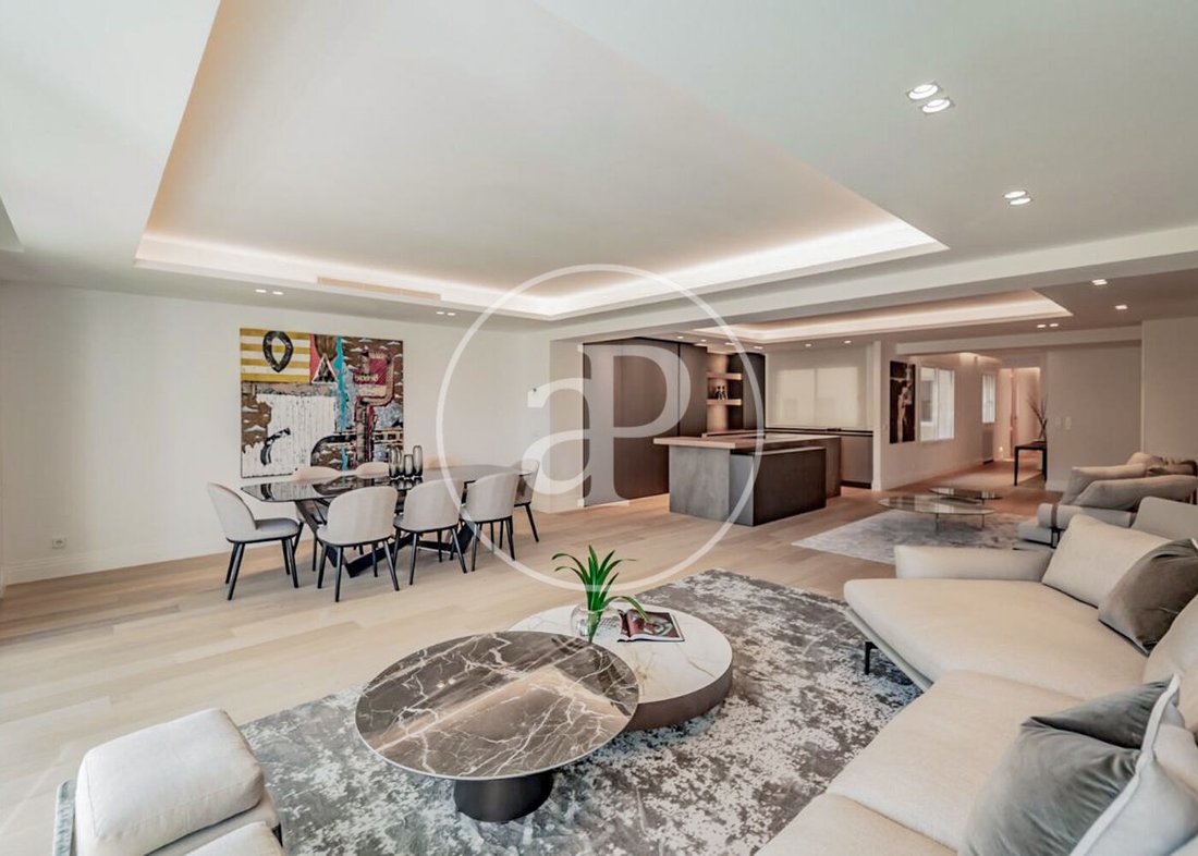Apartment in Barrio Salamanca, Madrid, Spain 5 - 15122383