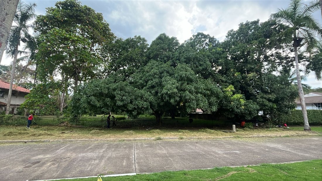 Land in Panama City, Panama, Panama 1 - 15126236