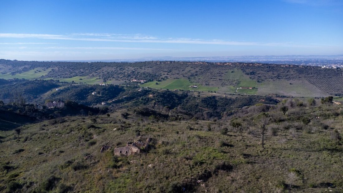 Land in Palmela, Setubal, Portugal 3 - 15126420