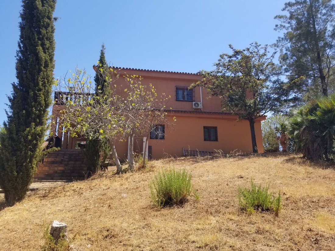 Finca in Mijas, Andalusia, Spain 5 - 15126165