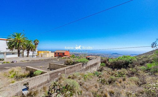 Finca in Granadilla de Abona, Canary Islands, Spain 1