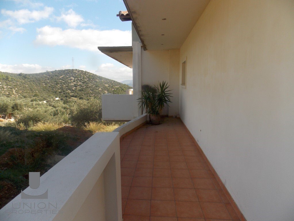 Kropia, Attica, Greece 3 - 15124960